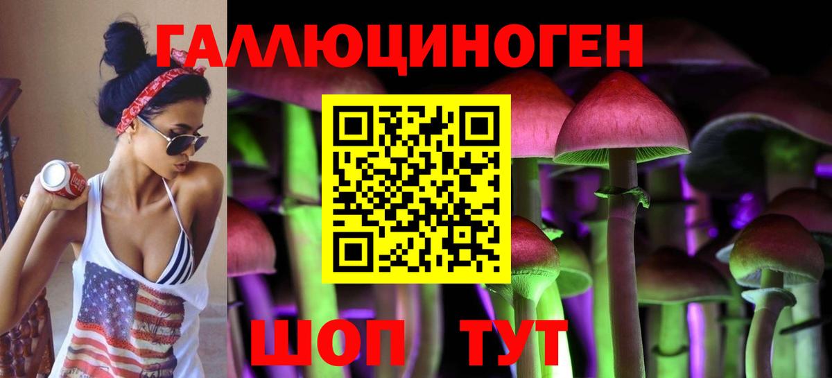 Галлюциногенные грибы Psilocybe  Вход с VPN  Воронеж 